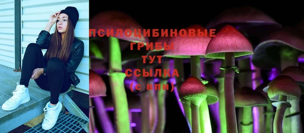 ALPHA PVP Медвежьегорск