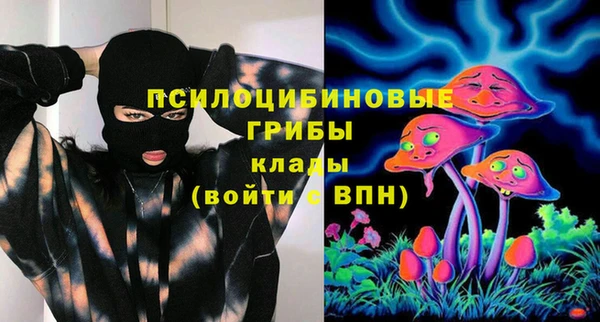 ALPHA PVP Медвежьегорск