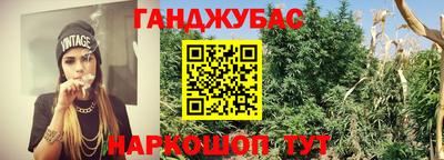 хмурый Гатчина