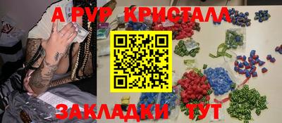 гидра Гай