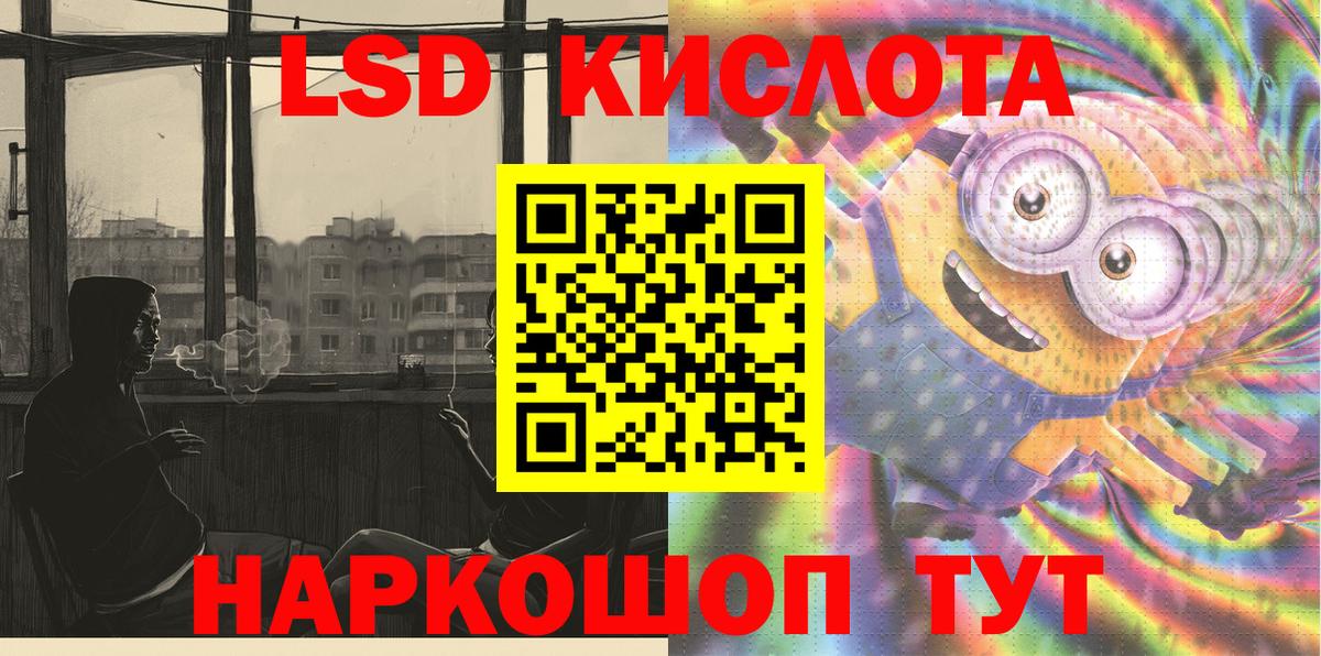 Галлюциногенные грибы Калининград