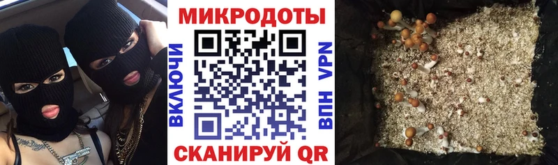 Галлюциногенные грибы Psilocybine cubensis  omg как зайти  Калининград 