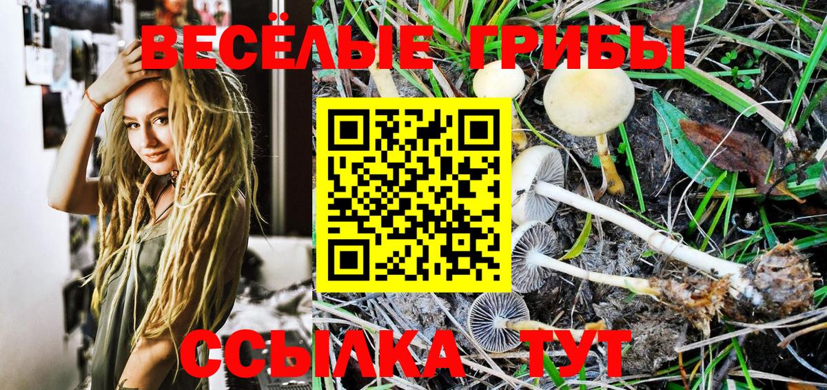 Галлюциногенные грибы мухоморы  где можно купить   Калининград 