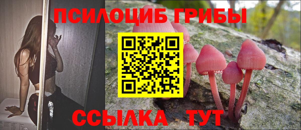 Галлюциногенные грибы Magic Shrooms Калининград