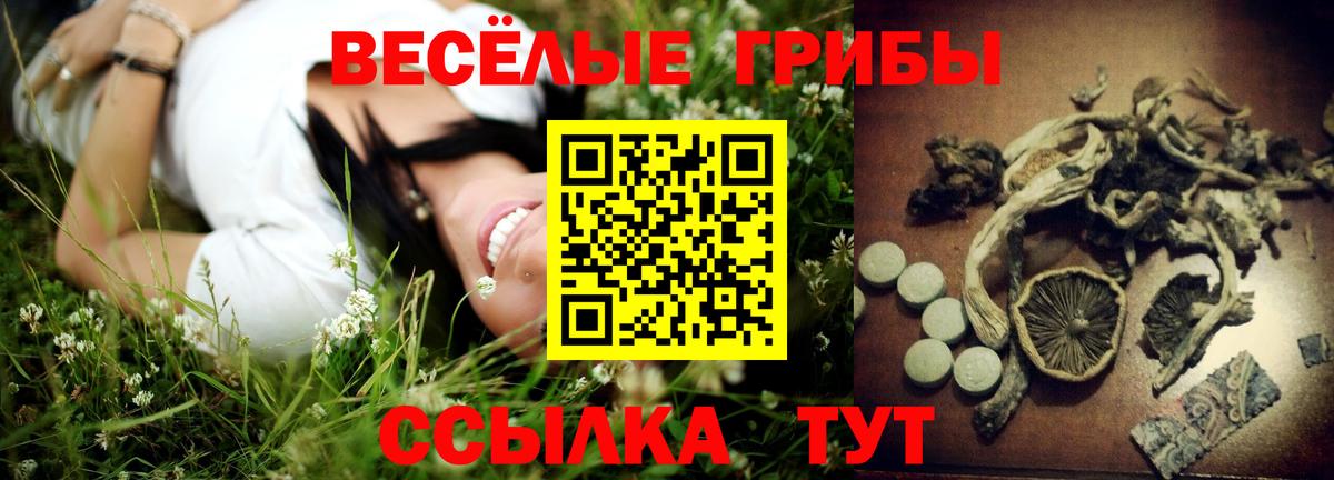 Калининград  где найти наркотики  Вход с VPN  Псилоцибиновые грибы GOLDEN TEACHER 